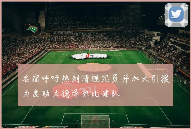 名宿呼吁热刺清理冗员并加大引援力度助力德泽尔比建队